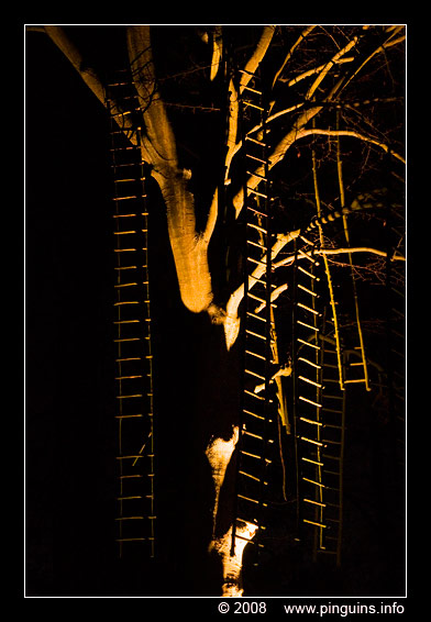 Bokrijk winteravonden  winter evening
Trefwoorden: Bokrijk Belgium winteravonden  winter evening licht light