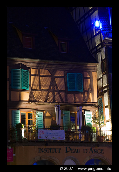 Colmar by night  ( Elzas Alsace France )
Trefwoorden: Colmar nacht Elzas Alsace France  Frankrijk night