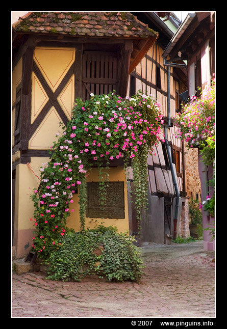 Eguisheim  ( Elzas  France )
Ключові слова: Eguisheim  Elzas  France Alsace Frankrijk