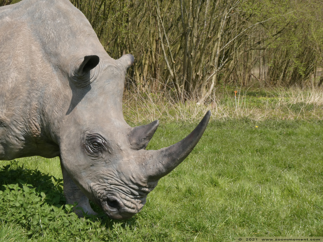 Kasteel Heers castle
Keywords: Kasteel Heers castle Belgium neushoorn rhinoceros