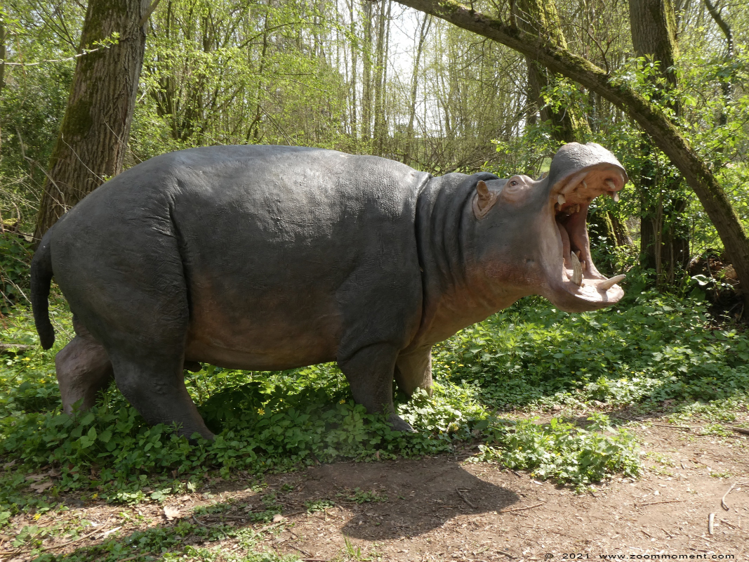 Kasteel Heers castle
Trefwoorden: Kasteel Heers castle Belgium nijlpaard hippopotamus