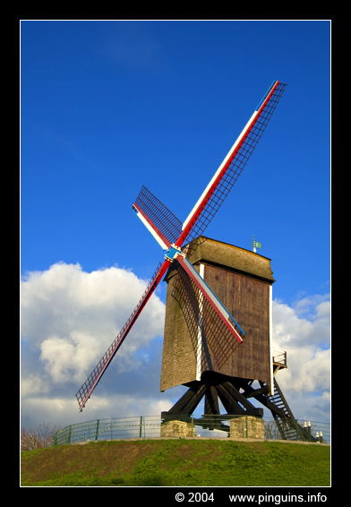 Brugge (BE) : mill   molen
Trefwoorden: Brugge mill molen  Belgie Belgium