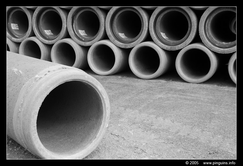 buizen   pipes
Trefwoorden: buis buizen rioolbuis pipe pipes tube