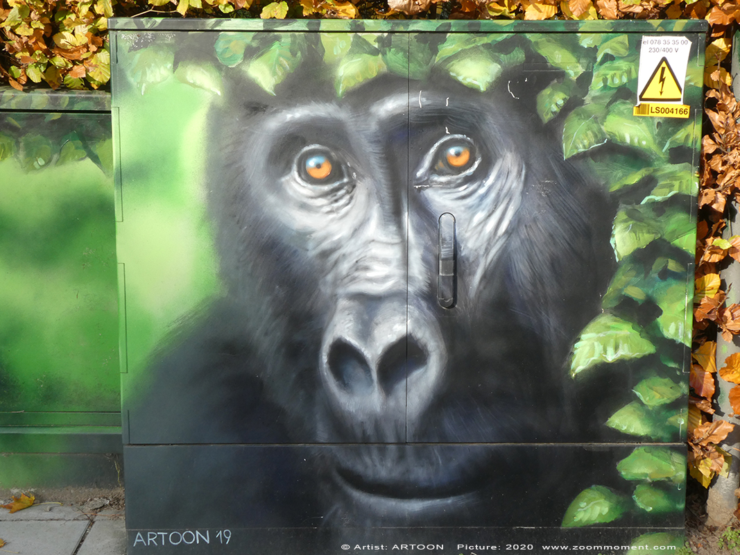 Street Art Antwerpen Artoon
Created by Artoon
Green Gorilla –
StreetArt 2610 Antwerpen
Keywords: Street Art Antwerpen Artoon gorilla