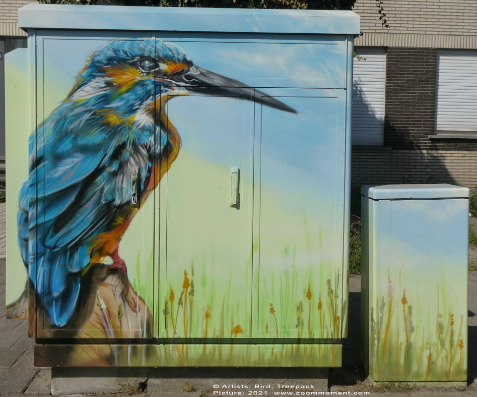 Streetart Antwerpen Belgium 
Created by Bird, Treepack
Tour Elentrik - Kingfisher 
Keywords: Streetart Antwerpen Belgium ijsvogel kingfisher