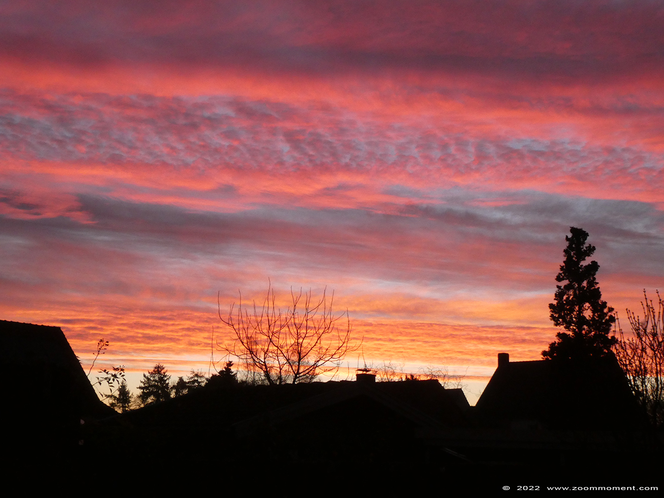 zonsopgang sunrise
Trefwoorden: Beerse Belgium zonsopgang sunrise