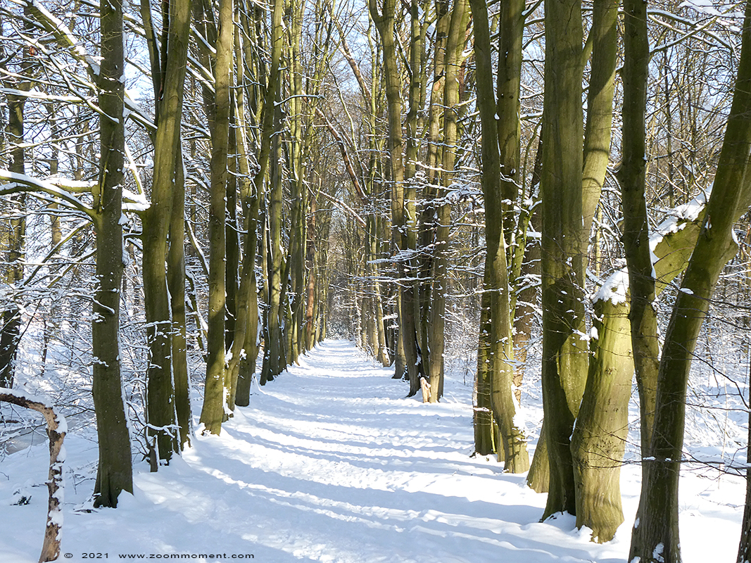 Domein de Renesse Oostmalle
Trefwoorden: Domein de Renesse Oostmalle Belgium kasteel sneeuw snow