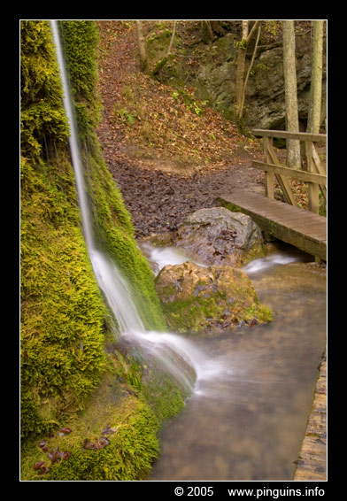 waterval  waterfall  ( Dreimühlen Germany )
Słowa kluczowe: Dreimühlen Dreimuehlen Germany water waterval waterfall Wasserfall