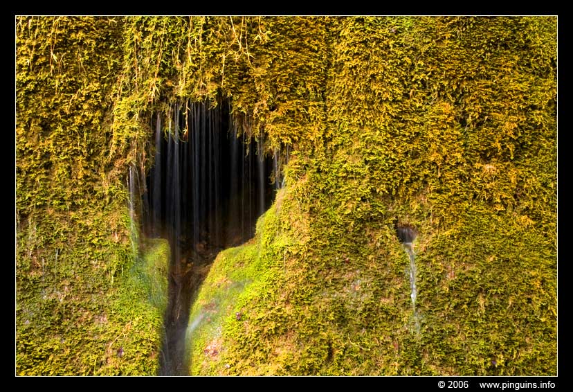 waterval  waterfall  ( Dreimühlen Germany )
Paraules clau: Dreimühlen Dreimuehlen Germany water waterval waterfall Wasserfall
