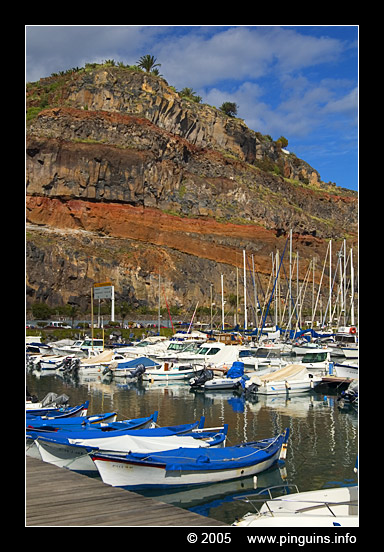 La Gomera harbour
La Gomera harbour
La Gomera haven
Ключови думи: La Gomera harbour haven