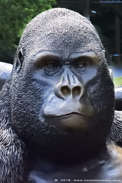 Gorilla gorilla beeld
Trefwoorden: Burgers zoo Arnhem gorilla beeld statue