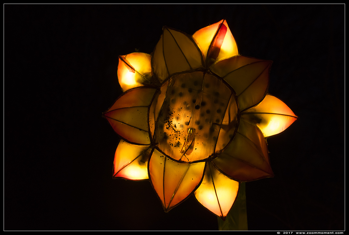 Africa by light lichtobject
Keywords: Safaripark Beekse Bergen Africa by light lichtobject