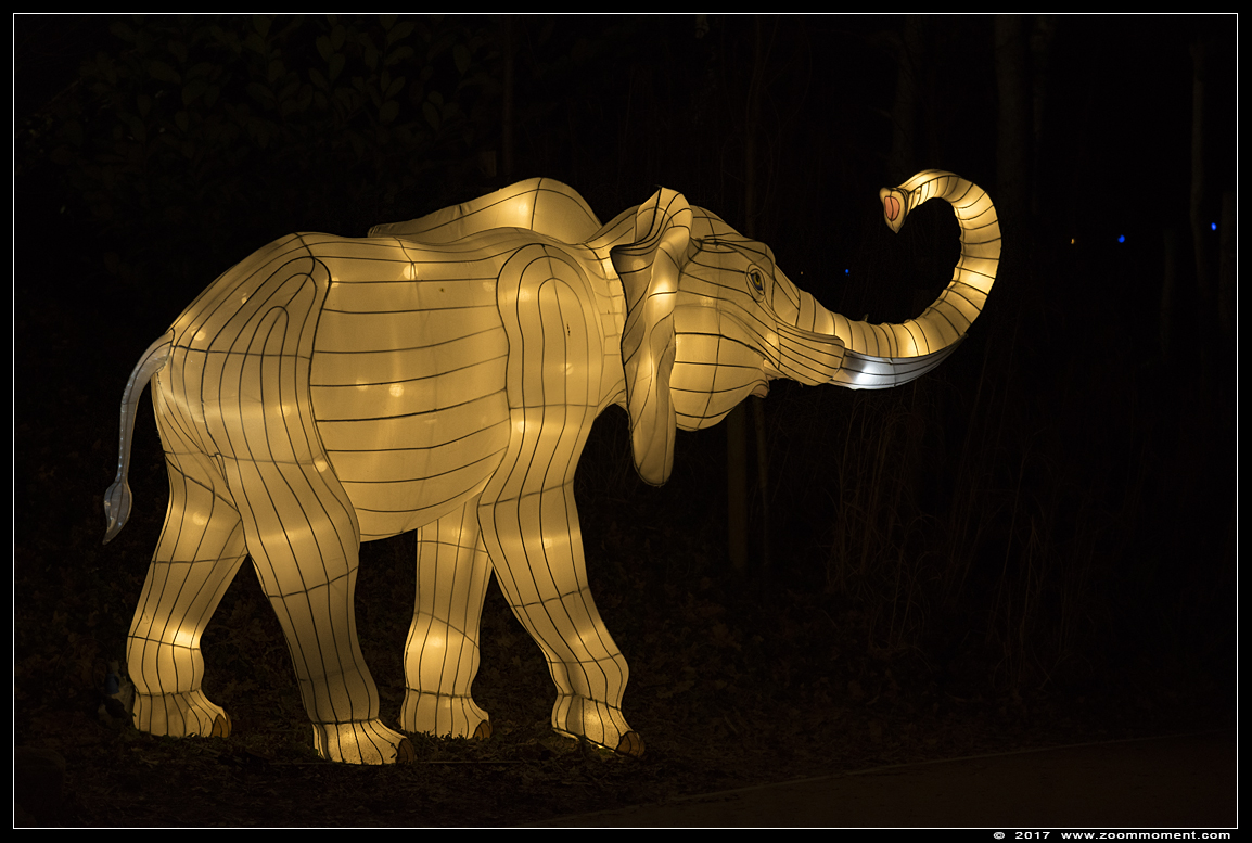 Africa by light lichtobject
Trefwoorden: Safaripark Beekse Bergen Africa by light lichtobject