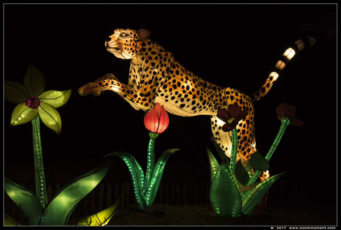 Africa by light lichtobject
Keywords: Safaripark Beekse Bergen Africa by light lichtobject