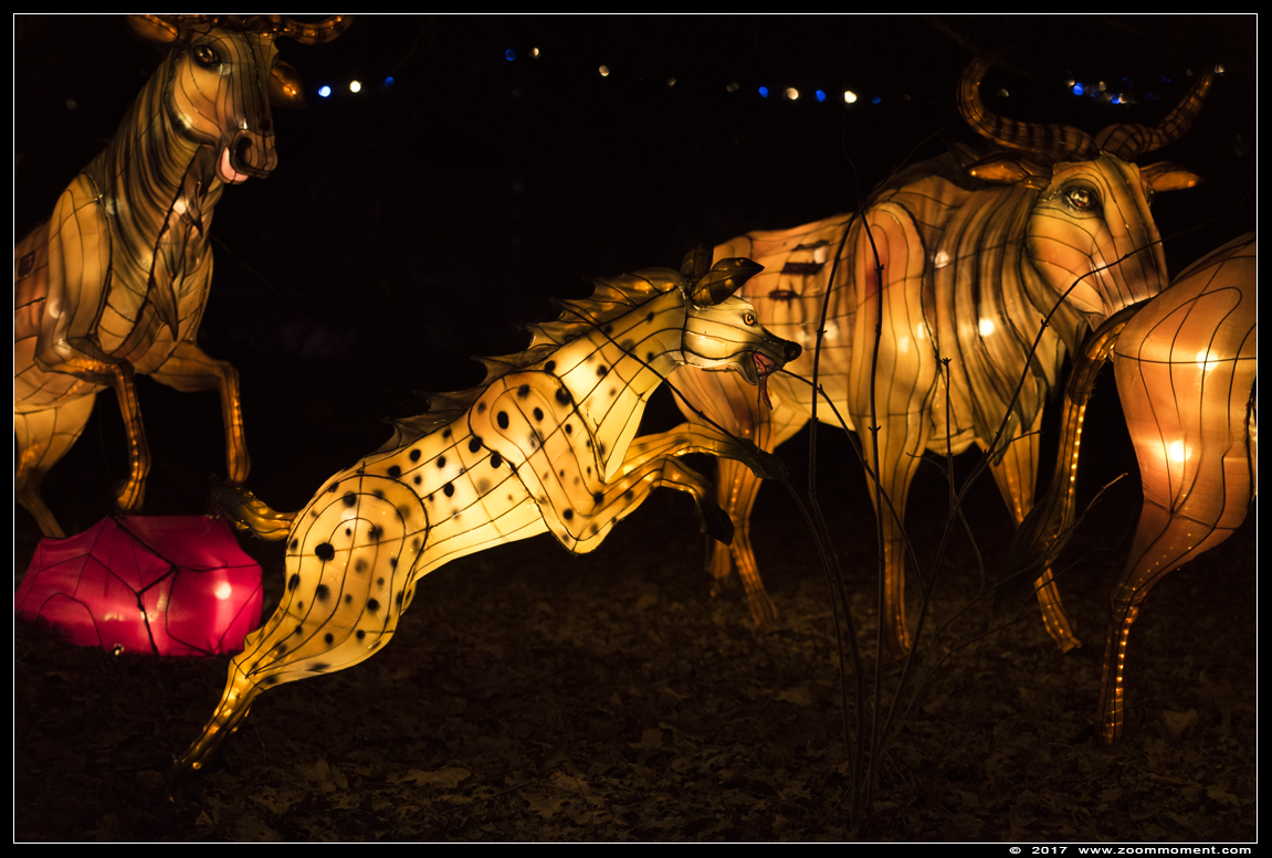 Africa by light lichtobject
Schlüsselwörter: Safaripark Beekse Bergen Africa by light lichtobject