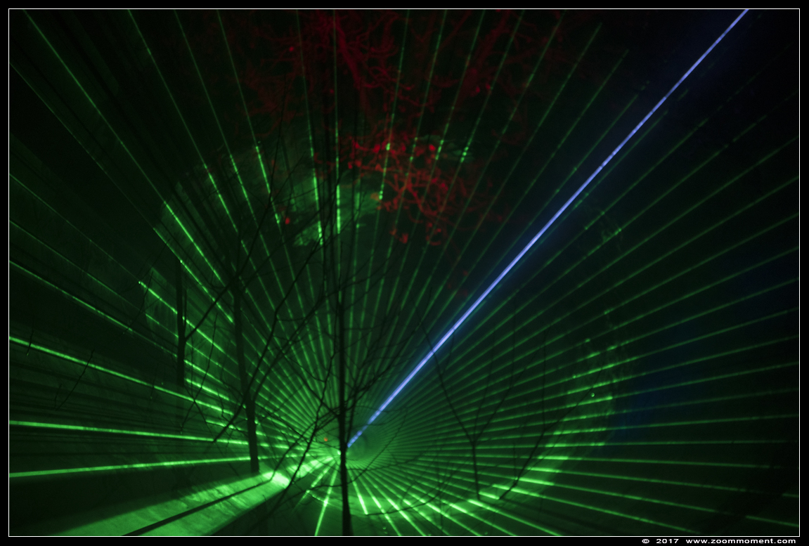 Africa by light lasershow
Palavras chave: Safaripark Beekse Bergen Africa by light lasershow