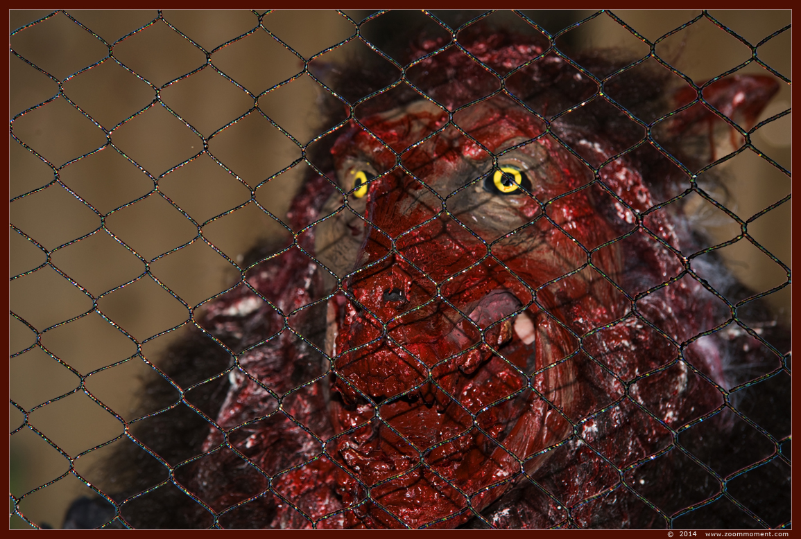 Halloween Animal Zombie Night 2014
Klíčová slova: Gaia zoo Halloween Animal Zombie