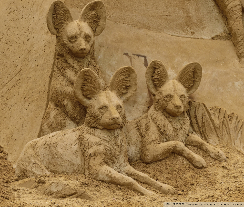 zandsculptuur Zoo van zand sandsculpture
Palabras clave: Gaiazoo Nederland zandsculptuur Zoo van zand sandsculpture Afrikaanse wilde hond