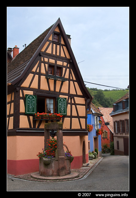 Niedermorschwihr  ( Elzas France )
Keywords: Niedermorschwihr  Elzas France  Frankrijk Alsace