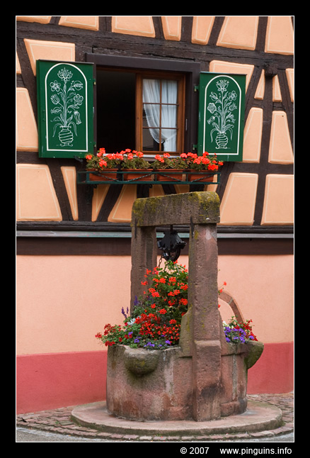 Niedermorschwihr  ( Elzas France )
Trefwoorden: Niedermorschwihr  Elzas France  Frankrijk Alsace