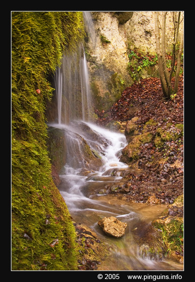 waterval  waterfall  ( Dreimühlen Germany )
Ключевые слова: Dreimühlen Dreimuehlen Germany water waterval waterfall Wasserfall