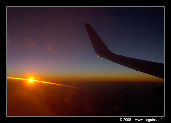 Flying to Tenerife
Paraules clau: flight sunrise plane Tenerife
